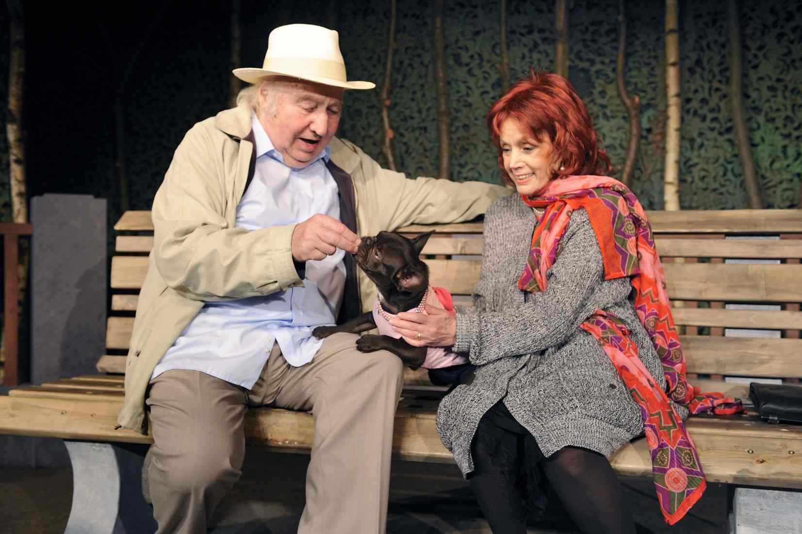 Noch einmal verliebt Foto: Kleines Theater